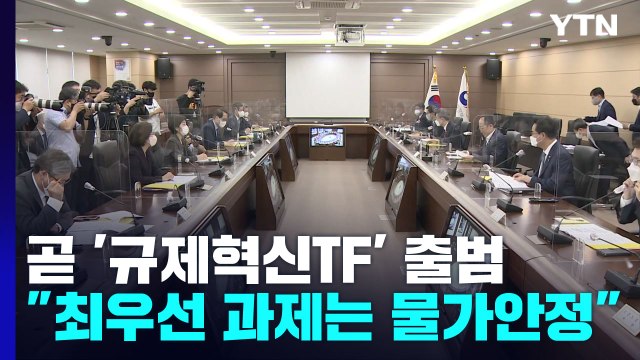 모든 부처 최우선 과제 물가...규제 풀기는 부총리 팀장 특별팀 / YTN