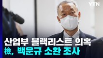 검찰, '산업부 블랙리스트' 백운규 전 장관 소환 조사 / YTN