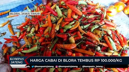 Harga Cabai di Blora Tembus Rp 100.000 Per Kilogram