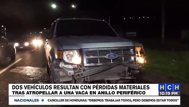Dos vehículos resultan con pérdidas materiales tras atropellar a una vaca en la capital