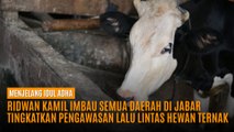 Ridwan Kamil Imbau Semua Daerah di Jabar Tingkatkan Pengawasan Lalu Lintas Hewan Ternak