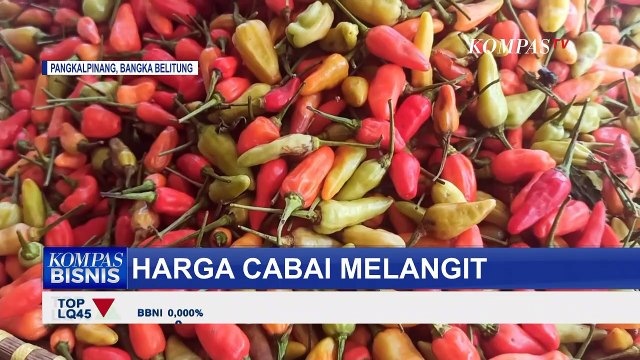 Cuaca Buruk Berdampak Pada Hasil Panen Petani, Harga Cabai Melambung Tinggi!