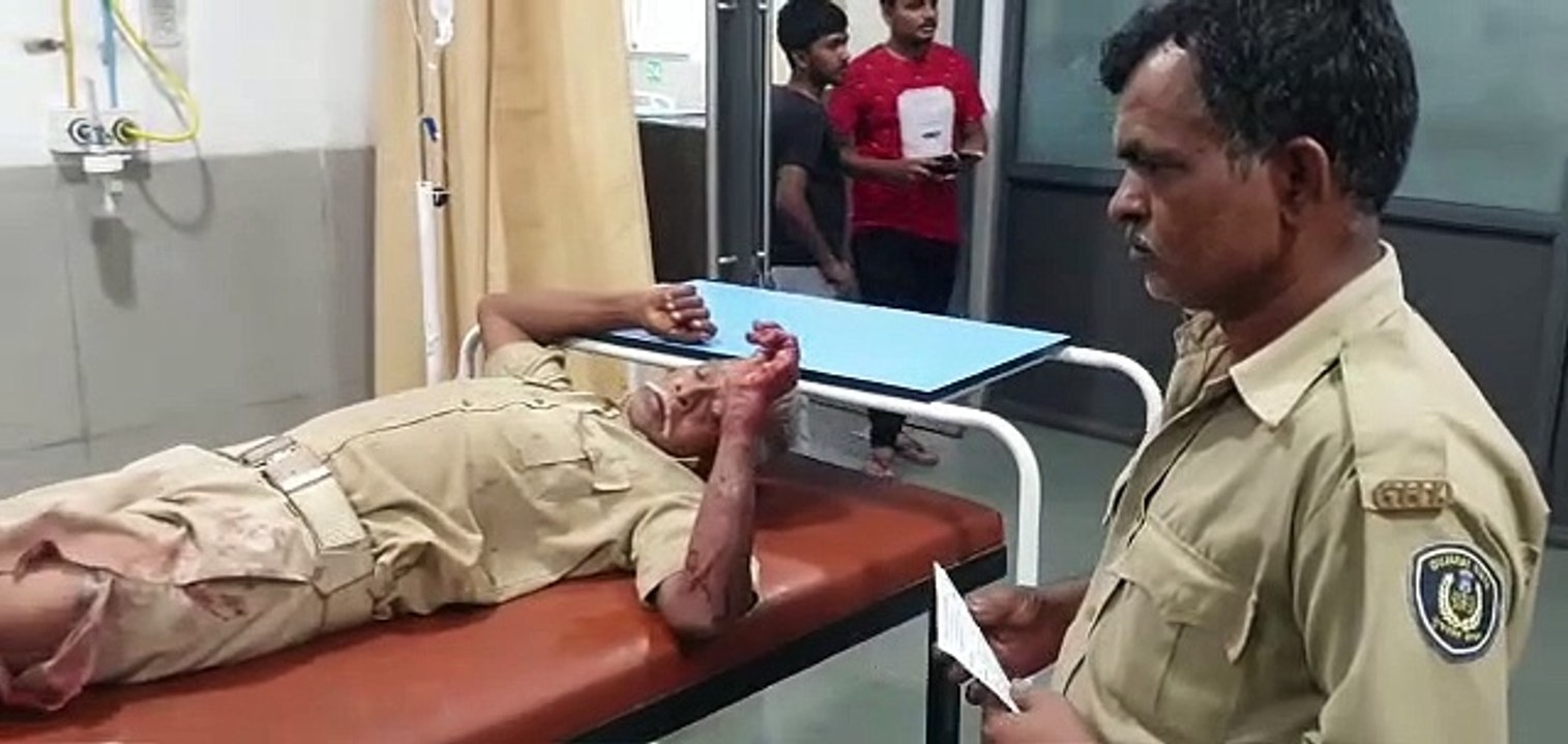 Gujarat News : दाहोद शहर में श्वानों का आतंक, राजकोट में पालने में सो रहे बालक को काटा, मौत