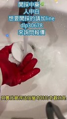 (吃飯勿看)這就是我的工作 #先轉頭再轉眼睛 #忠駝論壇 #上熱門 #上推薦通知我 #抖音爸爸別限我流 #fyp #fypシ #foryou #foryoupage #viral @zachking