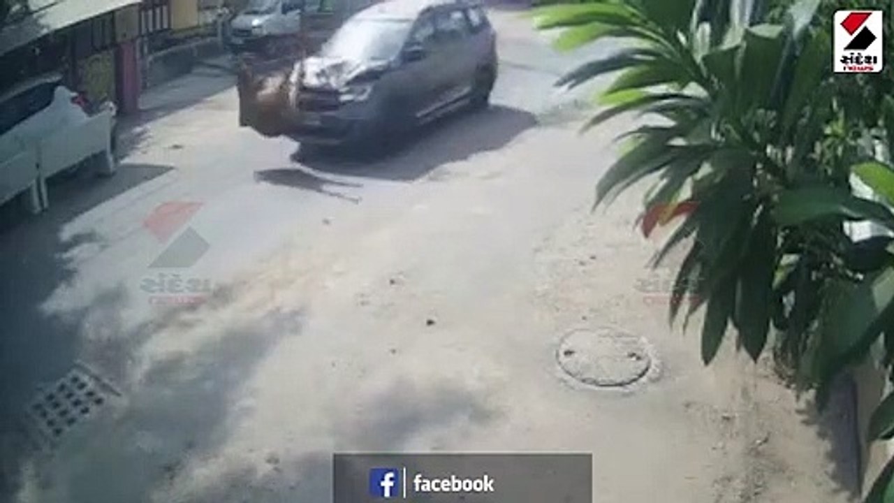 PM મોદીના કાર્યક્રમ સ્થળ પાસે ઢોરનો આતંક