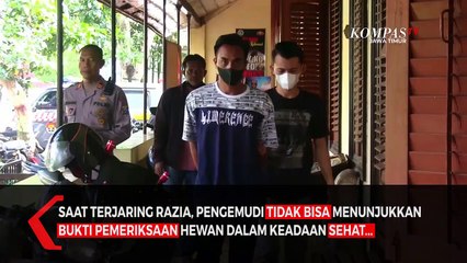 Viral! Tak Terima Kena Razia, Sopir ajak Duel Petugas di Bondowoso