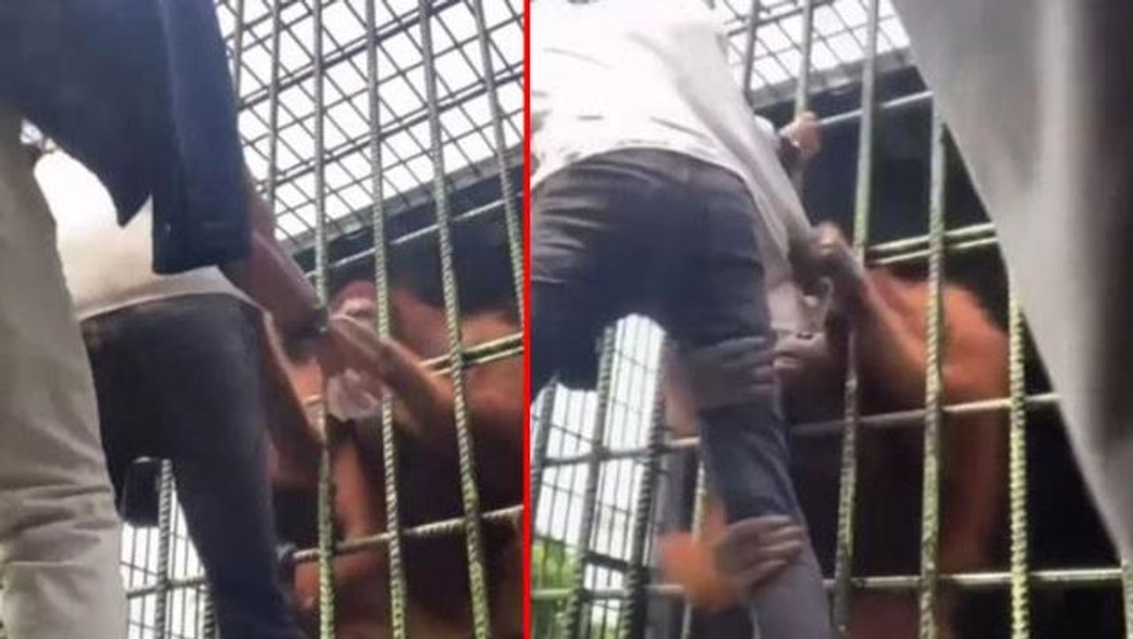 Hayvanat Bahçesi'nde korku dolu saniyeler! Orangutan bacağından kilitlediği adamı rehin aldı
