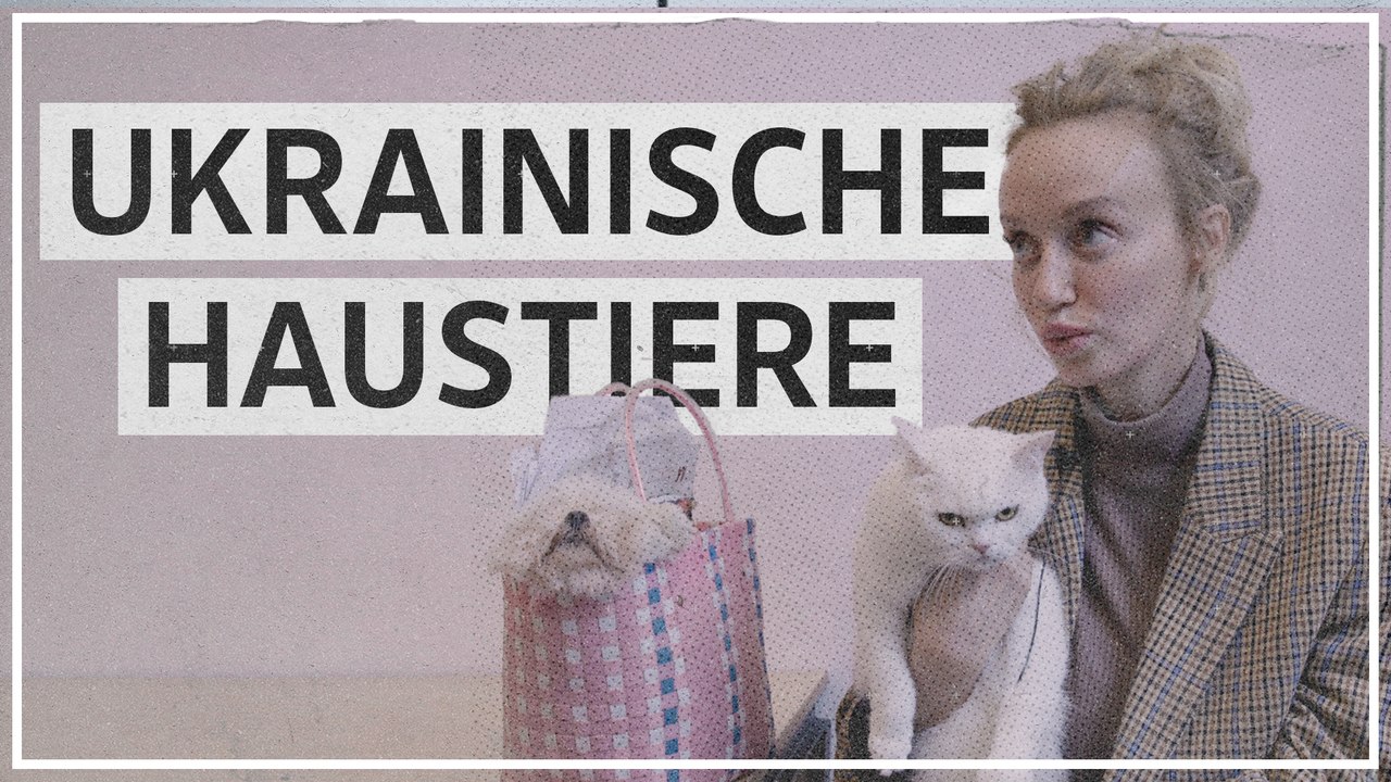Ukrainerin: 'Die Liebe zu Haustieren in unserem Land ist fast schon verrückt'