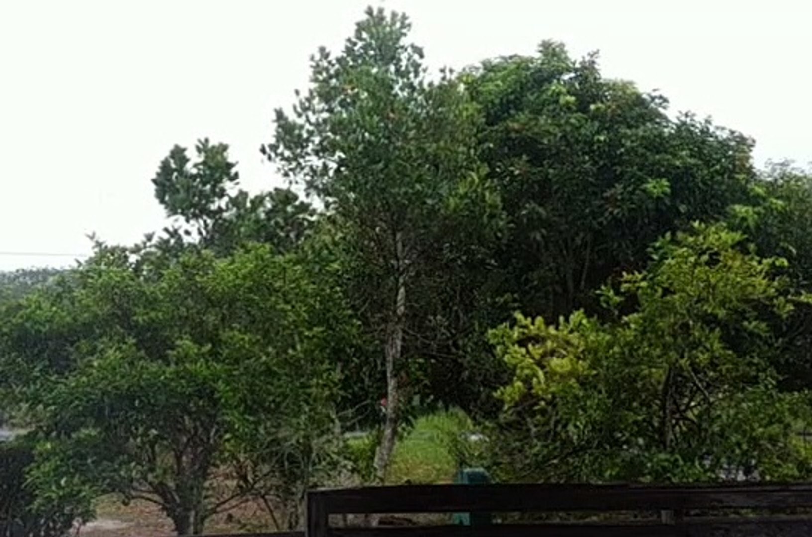 ⁣Rain Sound-Suara Hujan