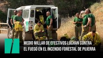 Medio millar de efectivos luchan contra el fuego en el incendio forestal de Pujerra (Málaga)