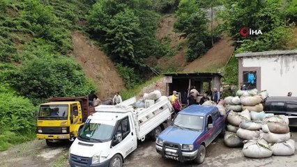 Selde yıkılan yaş çay alım yerinin yenisi yapılamayınca müstahsil çayını kamyon üzeri satıyor