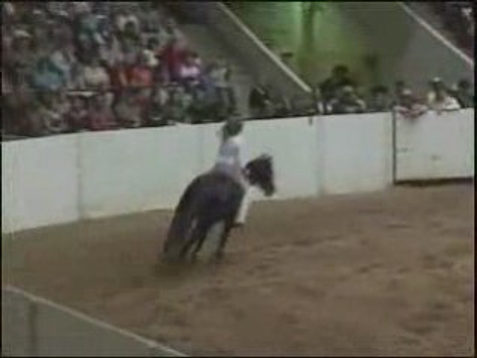 Bridlelessreining