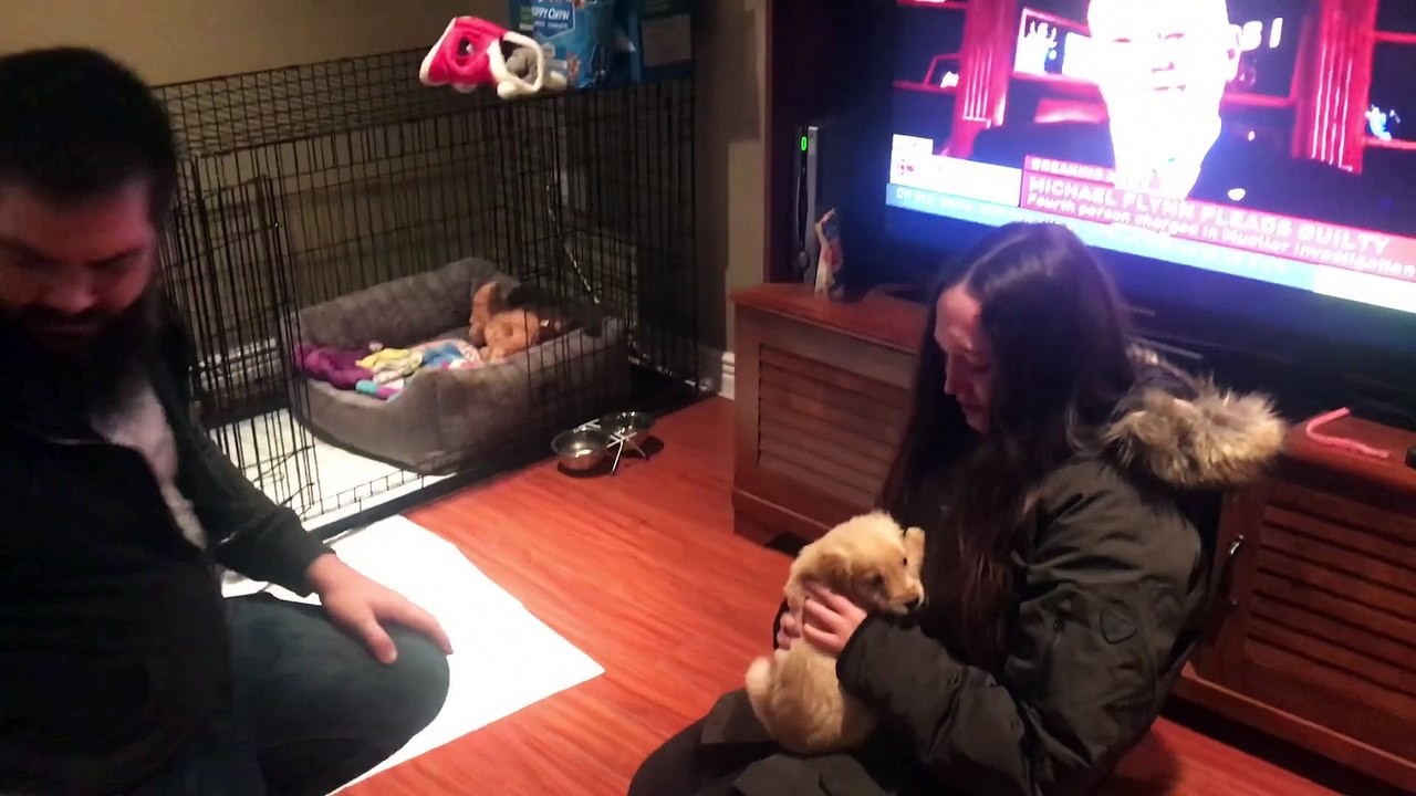 Mom and Stepdad Surprise Daughter with Her First Puppy