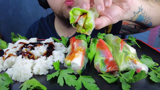 ASMR EATING SPRING ROLLS + RICE + TERIYAKI SAUCE (EATING SOUNDS) NO TALKING