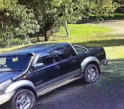 Australie: Un homme se fait attaquer par un kangourou et doit se battre avec lui