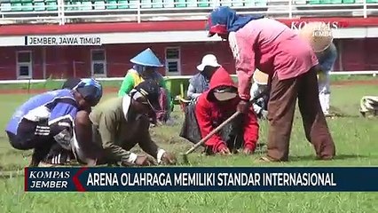 Download Video: Pemkab Jember Kebut Perbaikan Arena Porprov Jatim VII, Salah Satunya Stadion JSG