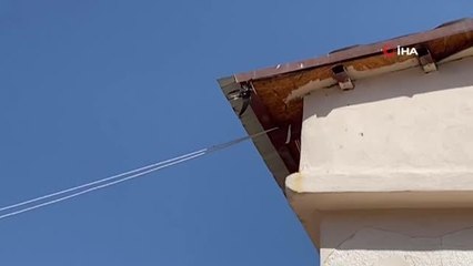 Kanadı çatıya sıkışan karga kurtarıldı