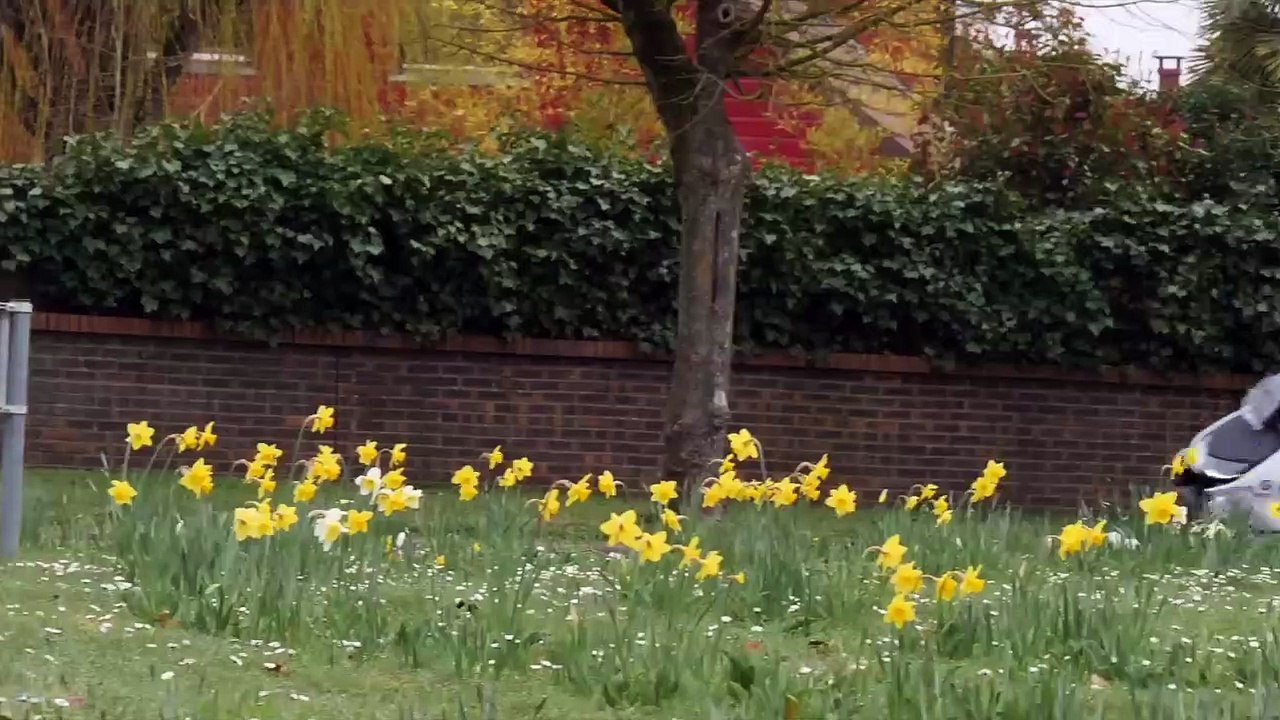 Test BMW CE 04 version _125_ _ le top du scooter électrique pour les permis B, A1.