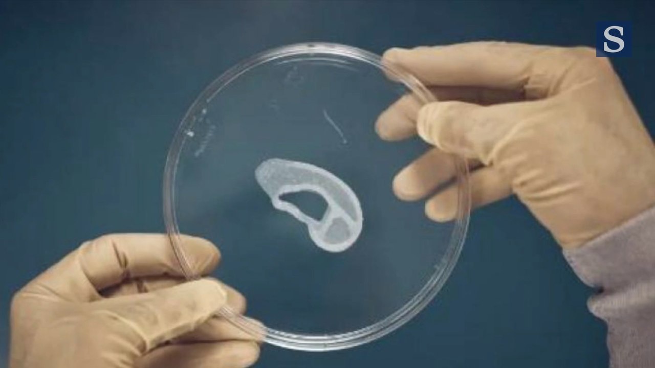 2 découvertes scientifiques étonnantes