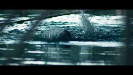 L'EFFET PAPILLON Film Extrait - Interrogatoire à la piscine