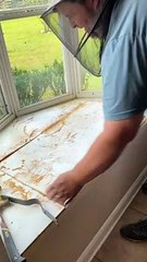 Massive Bee Hive Found in Lady’s Kitchen
