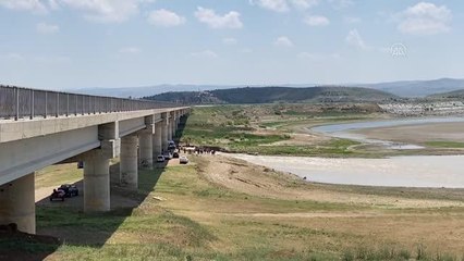 Kızılırmak'ta erkek cesedi bulundu