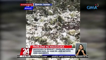 Magsasaka sa Benguet, sinira ang sariling pananim dahil sa sama ng loob matapos hindi makabenta | 24 Oras
