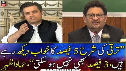 "They are dreaming of a 5% growth rate which is...", Hammad Azhar