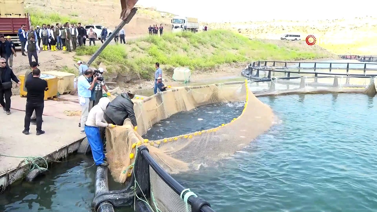 Denizi olmayan Kayseri'de 10 milyon dolarlık balık ihracatı