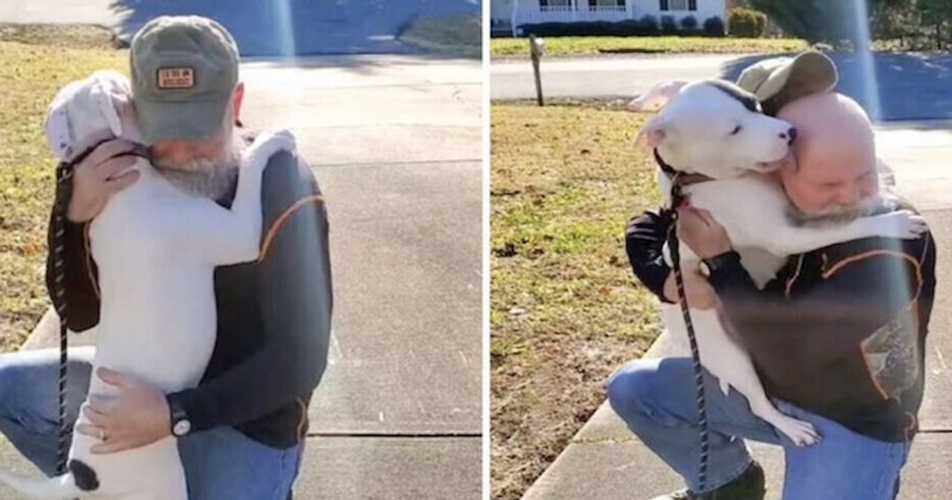 Cette chienne de refuge rencontre son nouveau maître pour la première fois et n'arrête pas de le câliner