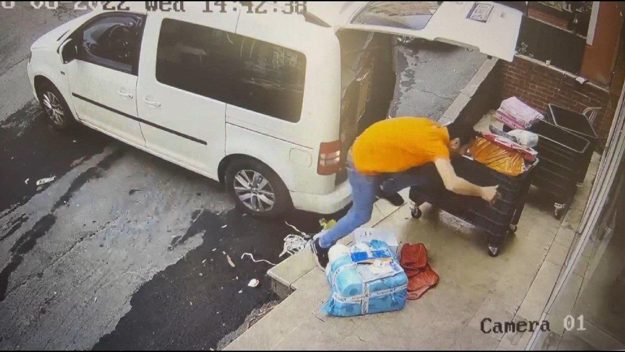 Şişli'de yavrusunu korumak isteyen karga ortalığı birbirine kattı