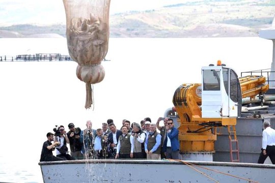 Denizi olmayan Kayseri'de 10 milyon dolarlık balık ihracatı