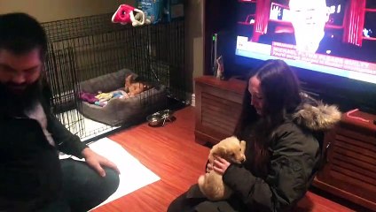 Mom and Stepdad Surprise Daughter with Her First Puppy
