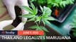 Thailand legalizes growing, consumption of marijuana