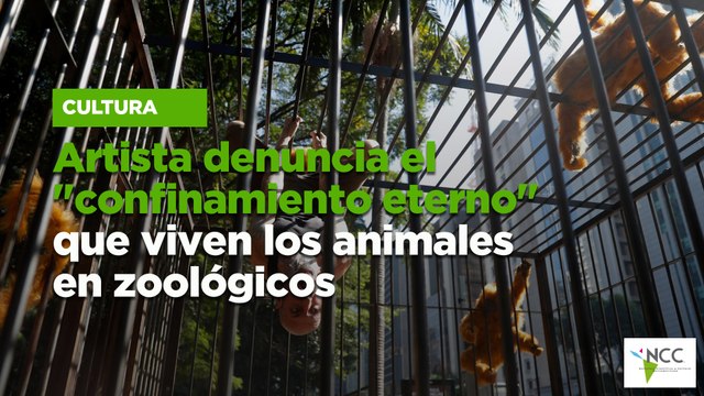Artista denuncia el confinamiento eterno que viven los animales en zoológicos