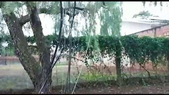 Mais um furto de cabos de telefonia é registrado no Bairro Alto Alegre