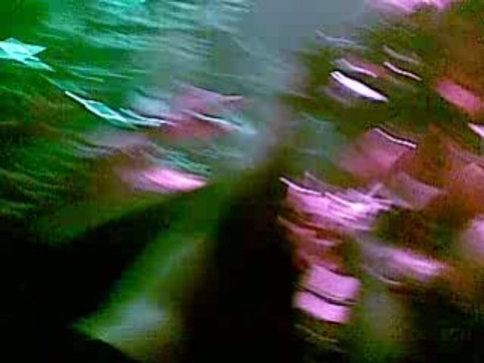 Dio concert 10