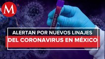 En México circulan los linajes con mayor virulencia de ómicron: expertos