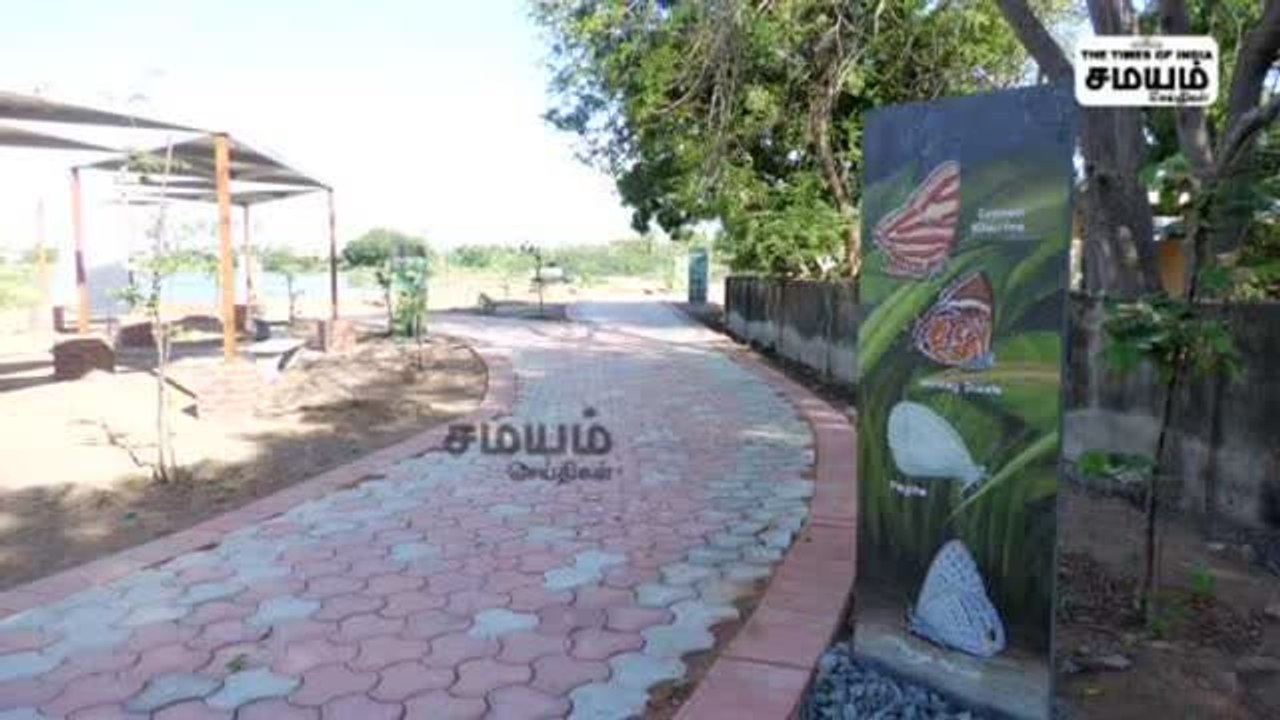 வேய்ந்தான் குளம்; தூய்மைப்படுத்திய தன்னார்வலர்கள்; சமூக ஆர்வலர்கள் பாராட்டு!