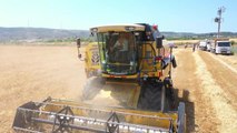 Didim Belediye Başkanı Atabay'dan İlk Buğday Hasadı