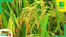 Kisan Bulletin - केंद्र सरकार ने धान के MSP में की 100 रूपये की बढ़ोत्तरी, कुल 17 फसलों के बढ़ाए दाम | Kharif Crops