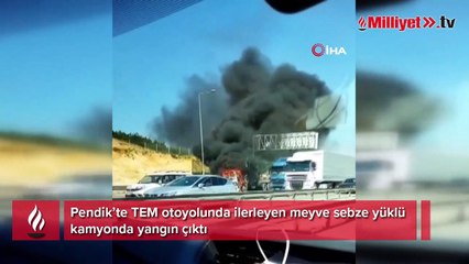 Pendik’te meyve sebze yüklü kamyon alev alev yandı