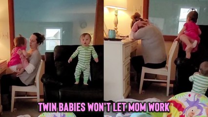 Twin Babies Just Wouldnt Let Mom Work  Try Not to Laugh