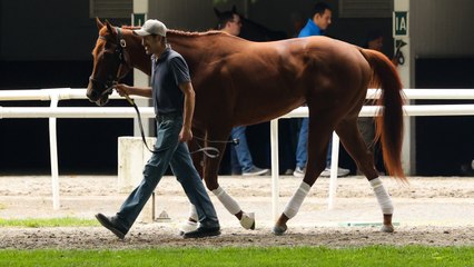 Belmont Stakes Long Shot: Who Could Spur The Shocker This Weekend?