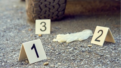 Delphine Jubillar : l’ultime photo d’elle vivante divulguée, quelques heures avant sa disparition