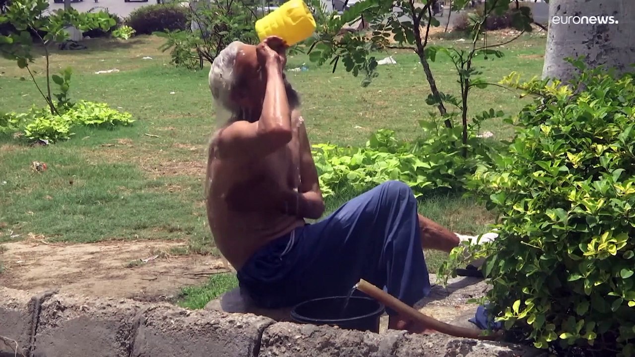 Warums Russlands Ukraine-Krieg eine weltweite Hungersnot schürt