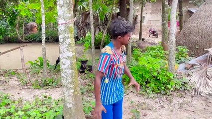 Must Watch New Funny Video 2022 Top New Comedy Video 2022 Try To Not Laugh Episode 08 By Fun Tv 420