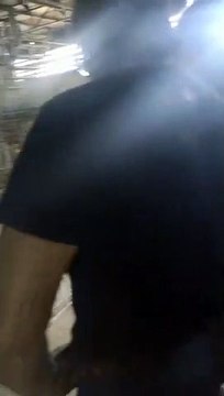 Médico veterinário é preso após denúncias de maus-tratos a animais