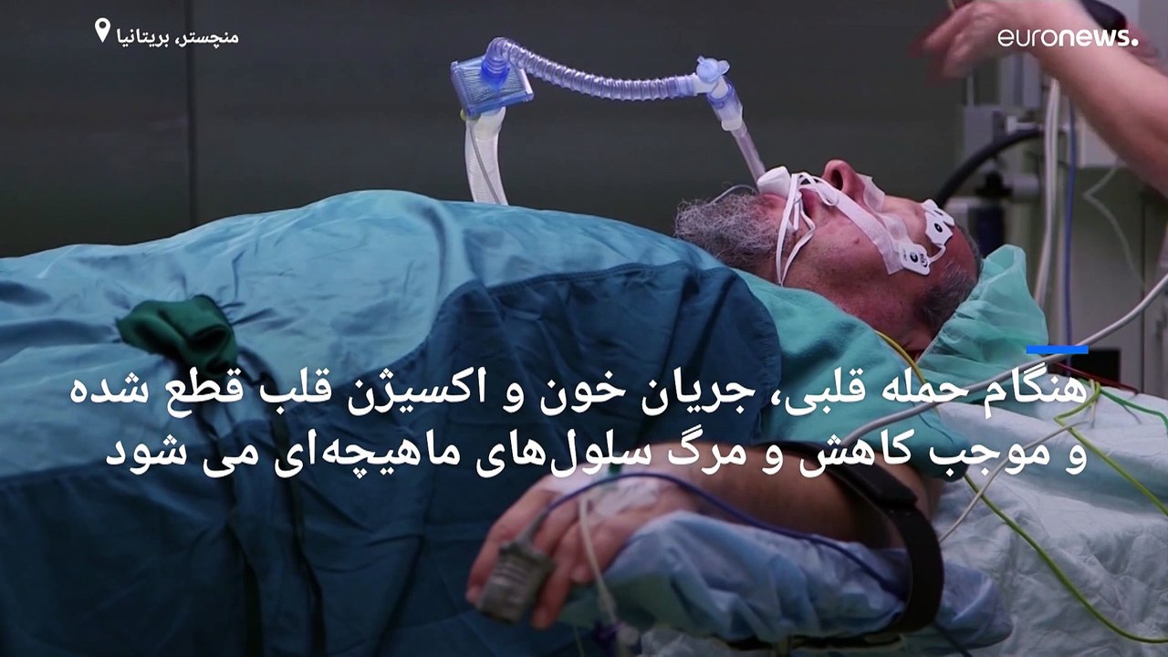 ترمیم آسیب های بافت قلب پس از سکته با ژل قابل تزریق