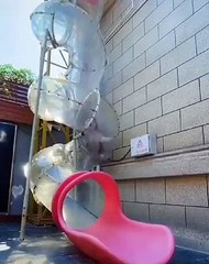 Toboggan à sensations fortes... pour chiens